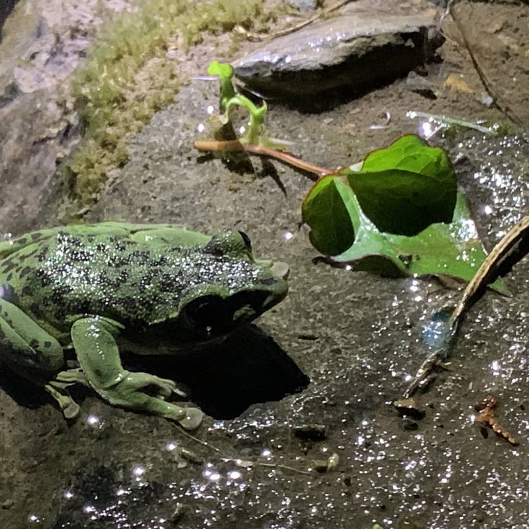 instaイメージ3