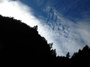 空